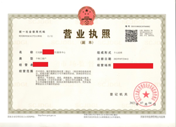 小规模纳税人代理记账服务